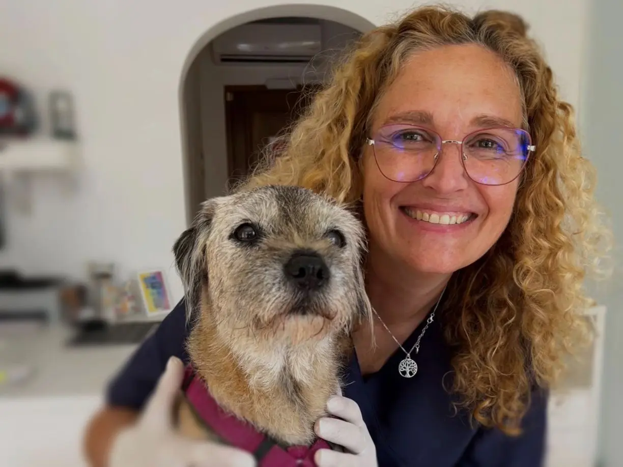 Allgemeine Sprechstunde